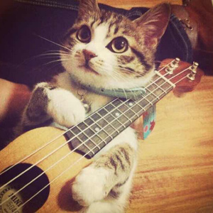 欧美透B🅱拳交
